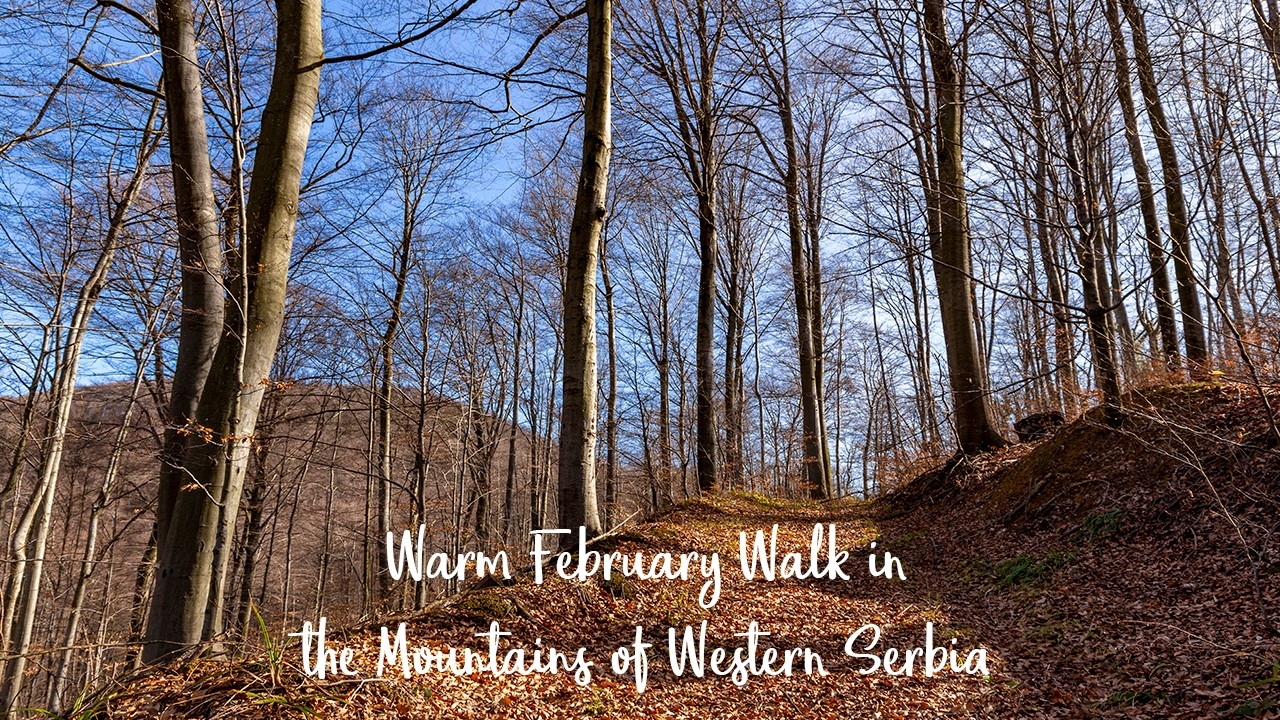 Warm February Walk in the Mountains of Western Serbia | 30 Min Nature Sounds