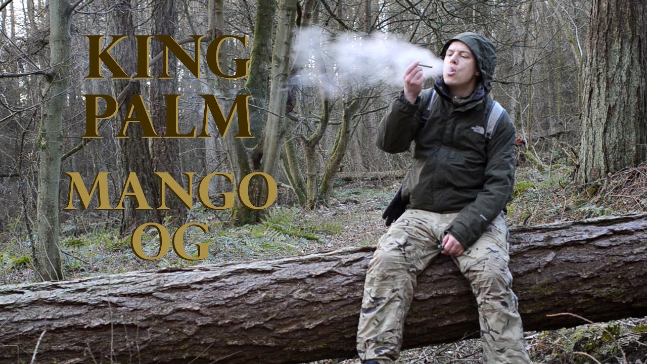 King Palm - Mango OG