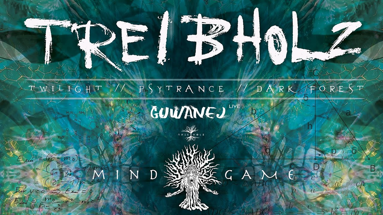GUWANEJ @ Treibholz V [Twilight Psytrance] &bull; DJ-Set &bull; O9.O6.2OI7