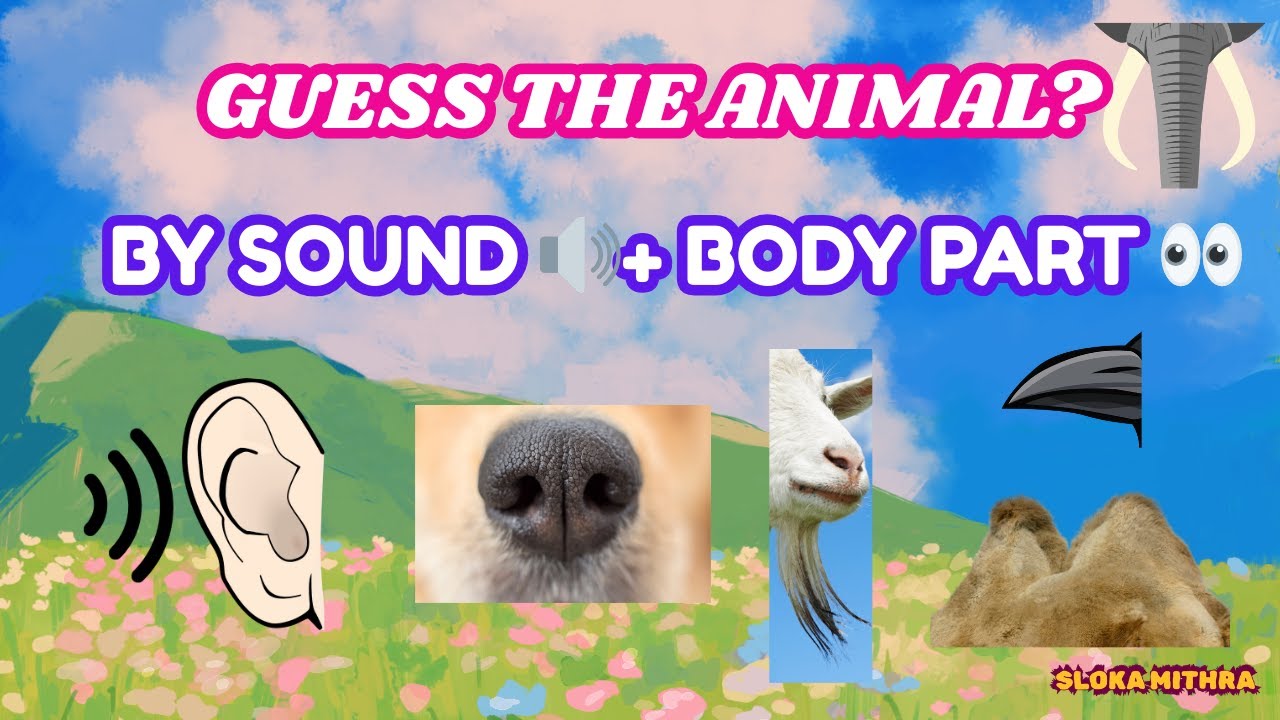 Guess the Animal by Sound  and Body Part  | Fun Animal Quiz for Kids