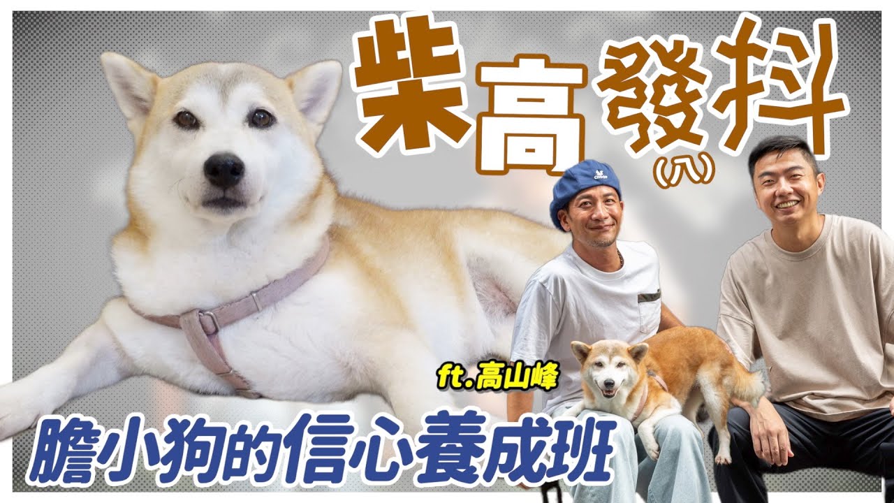 柴高發(八)抖 膽小狗的信心養成班 ft.高山峰｜熊爸估狗