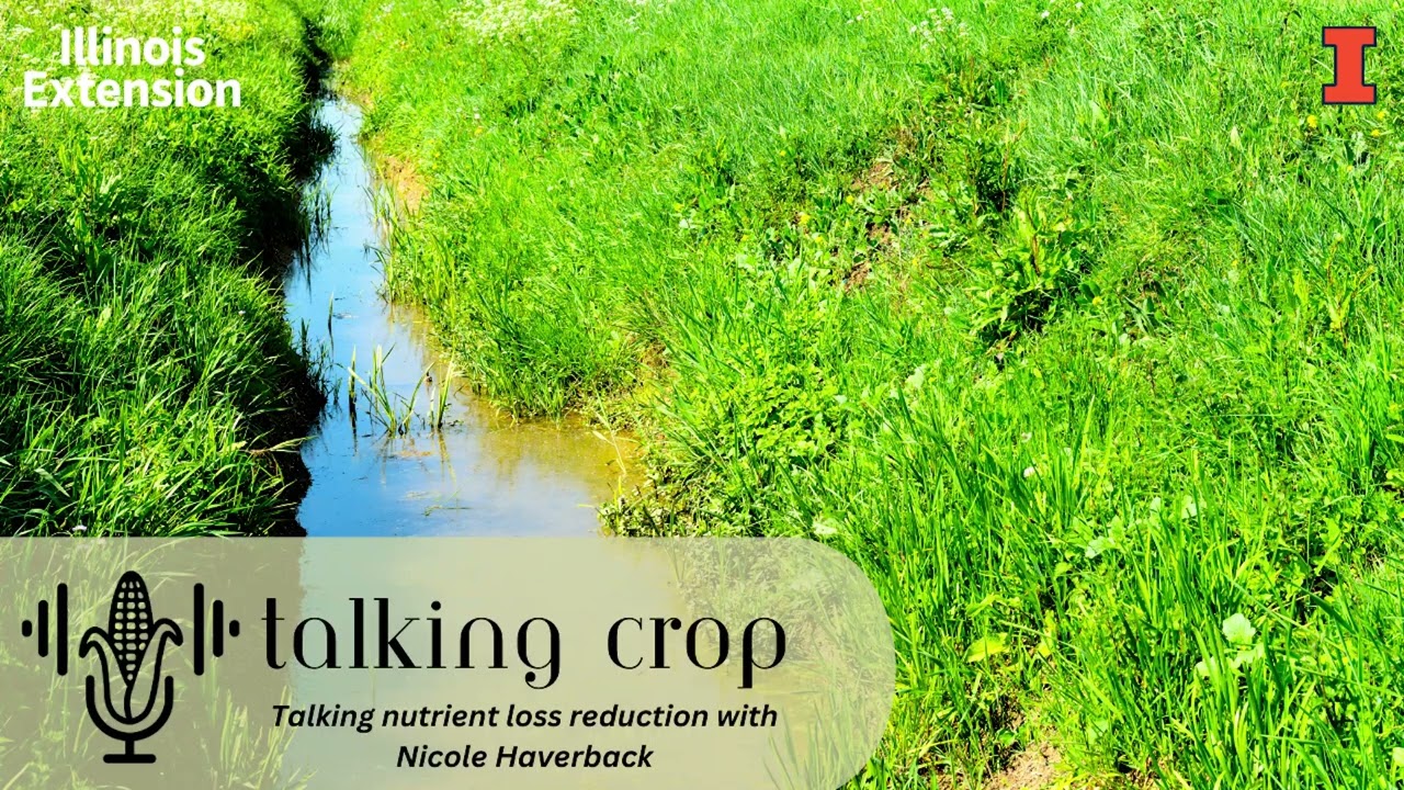 Talking nutrient loss reduction with Nicole Haverback | Talking Crop