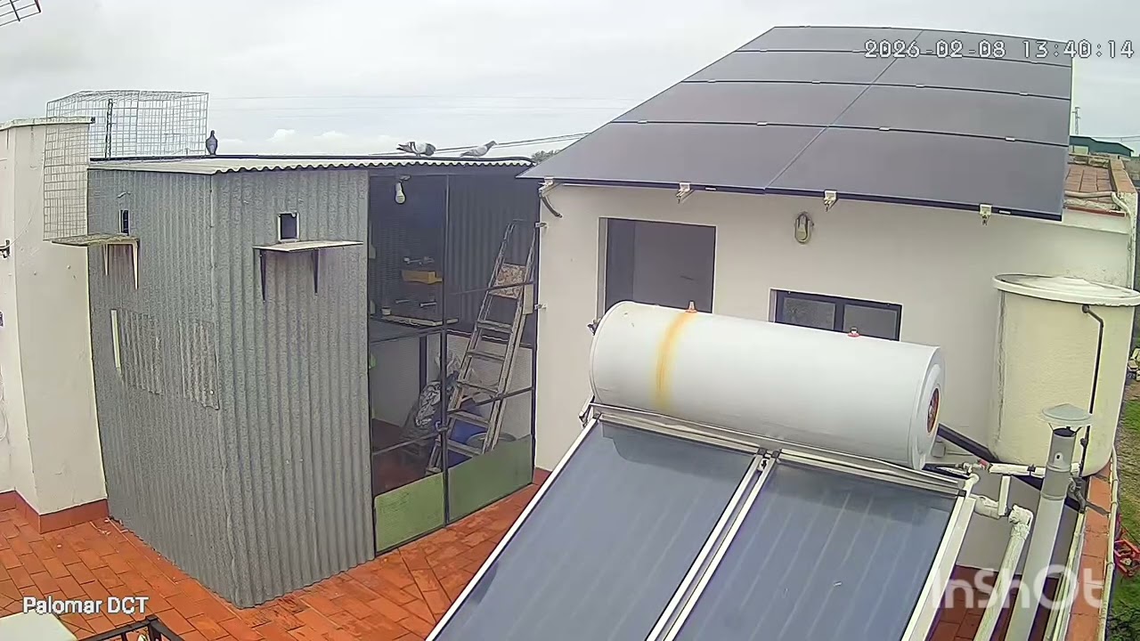 9 de febrero de 2026