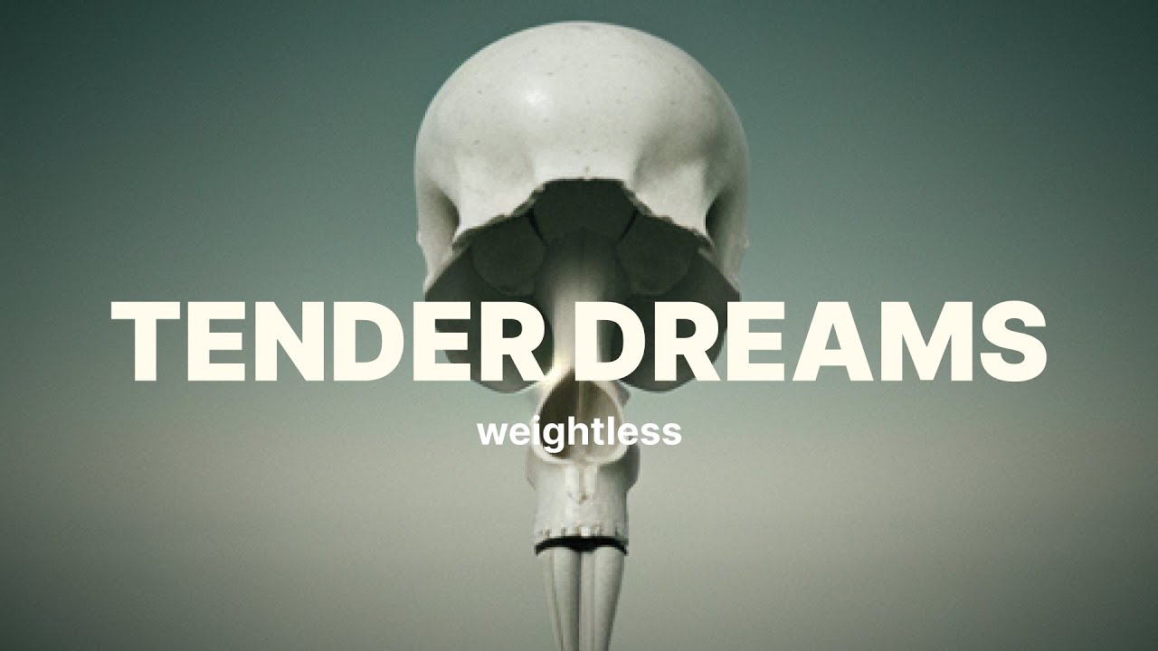 A Tender Kind of Dreams – Dreamy Cinematic Track | Jamuary 2026