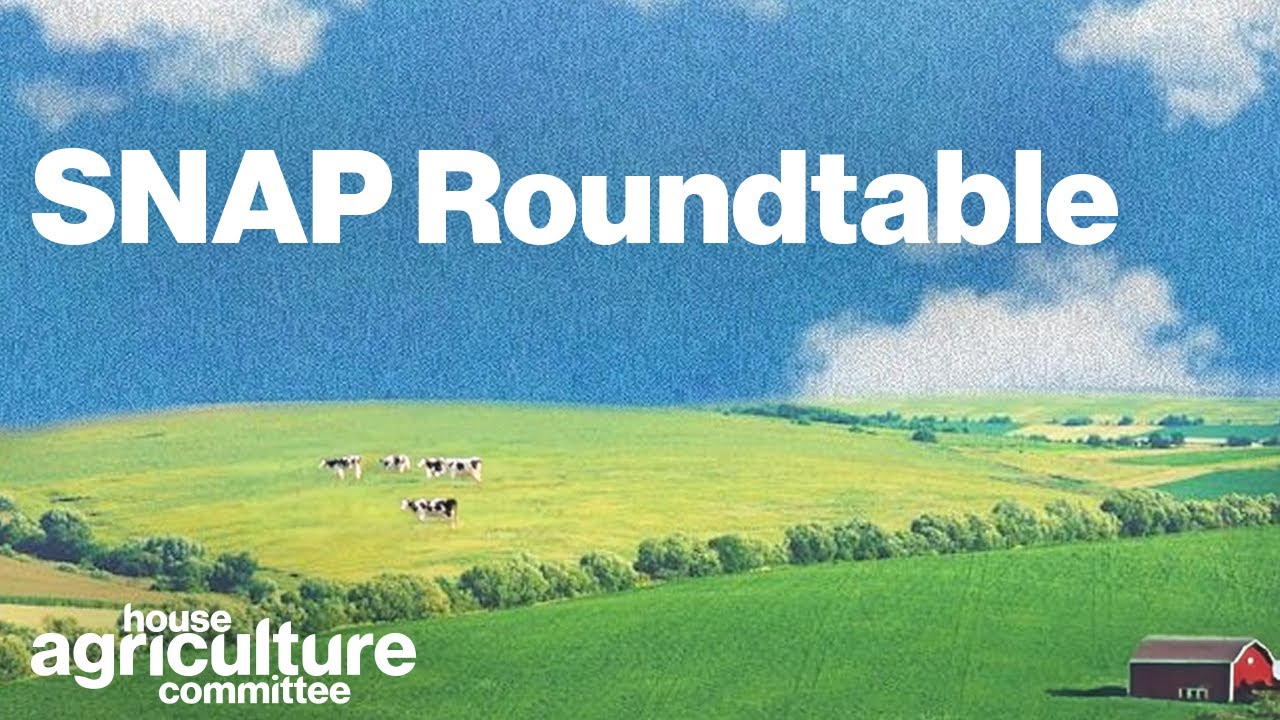 SNAP Roundtable