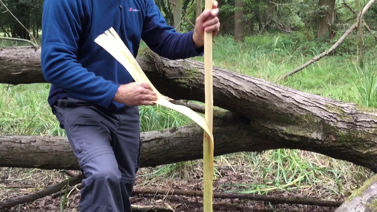 Natural cordage