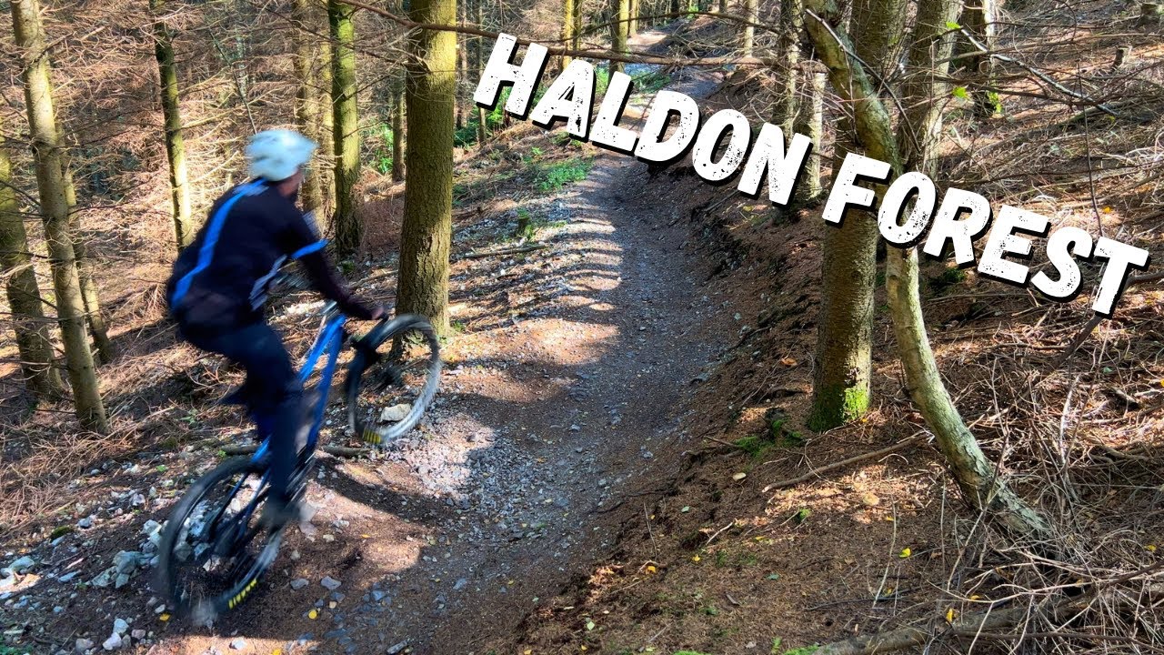 Haldon Forest - Red and Blue Descents