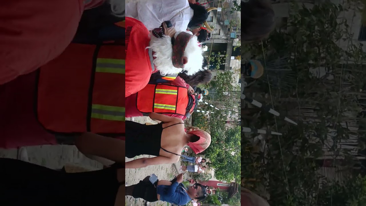 carnaval Pantepec 2025 barrio chico