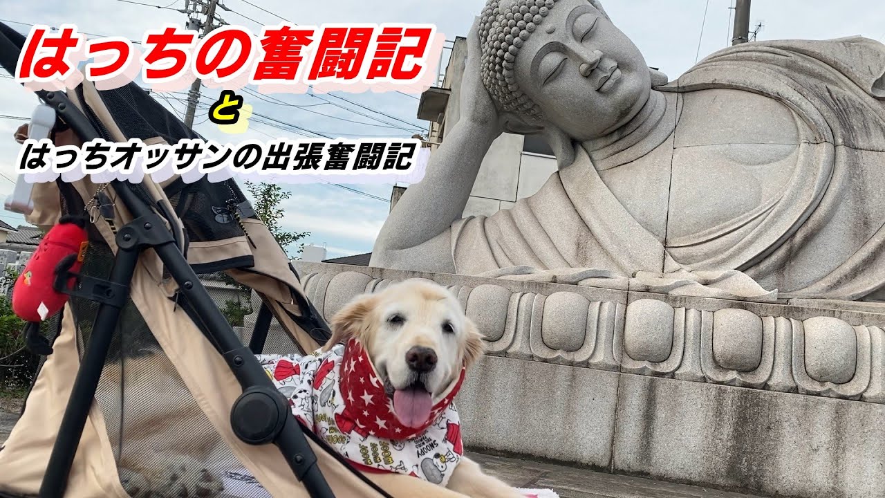 【居酒屋はっち】オープンしました？出張から帰宅した後の晩酌が美味しすぎる！