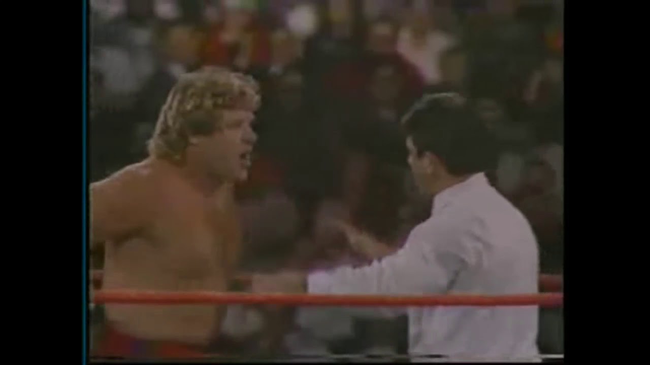 Jake Roberts vs Dick Slater WWF Superstars 1986