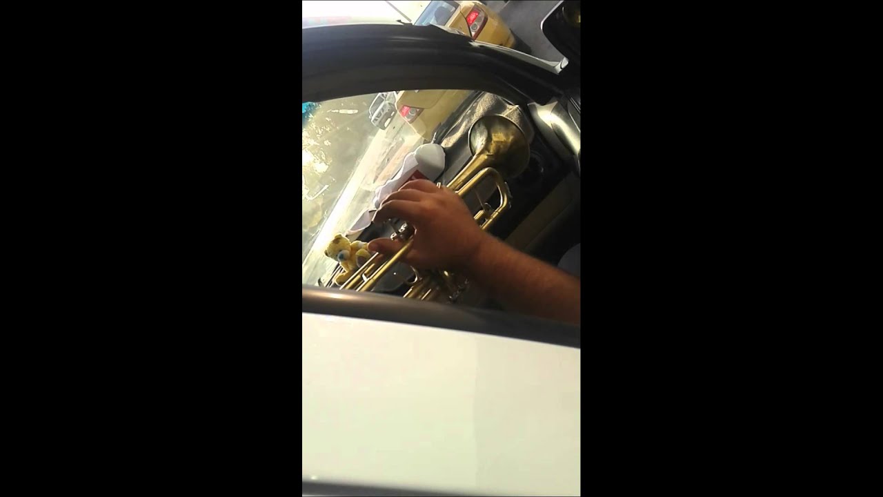 شوف وضحك مع عازف البوق ههه