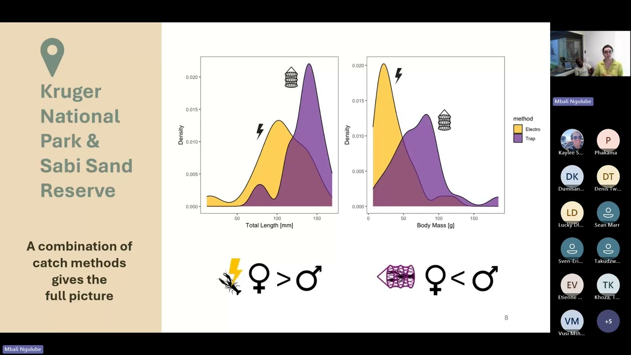 SAIAB Seminar Series 2026: Dr Danai Kontou, James Hodson & Emma Baker