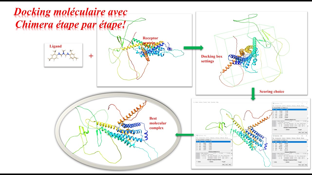 Comment réaliser un Docking moléculaire avec le logiciel Chimera étape par étape?