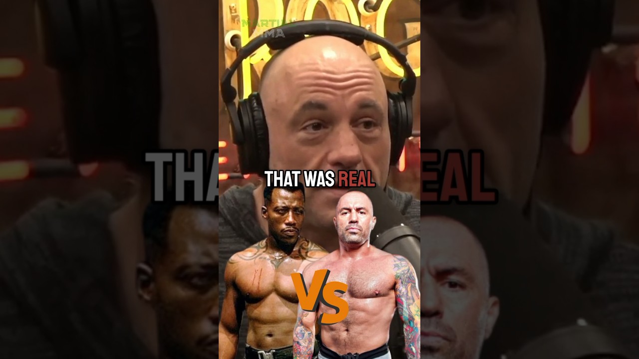 Joe Rogan was going to Destroy Wesley Snipes