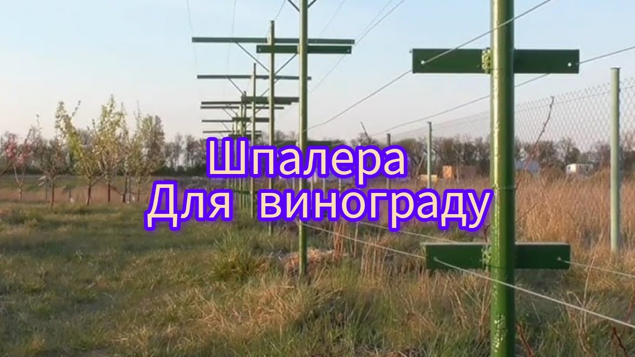 Зручна шпалера для винограду | Двоплощинна конструкція своїми руками.
