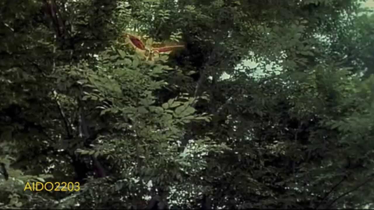 Godzilla 2014, Against MechaGodzilla and Vs SpaceGodzilla Music Video - In My Remains
