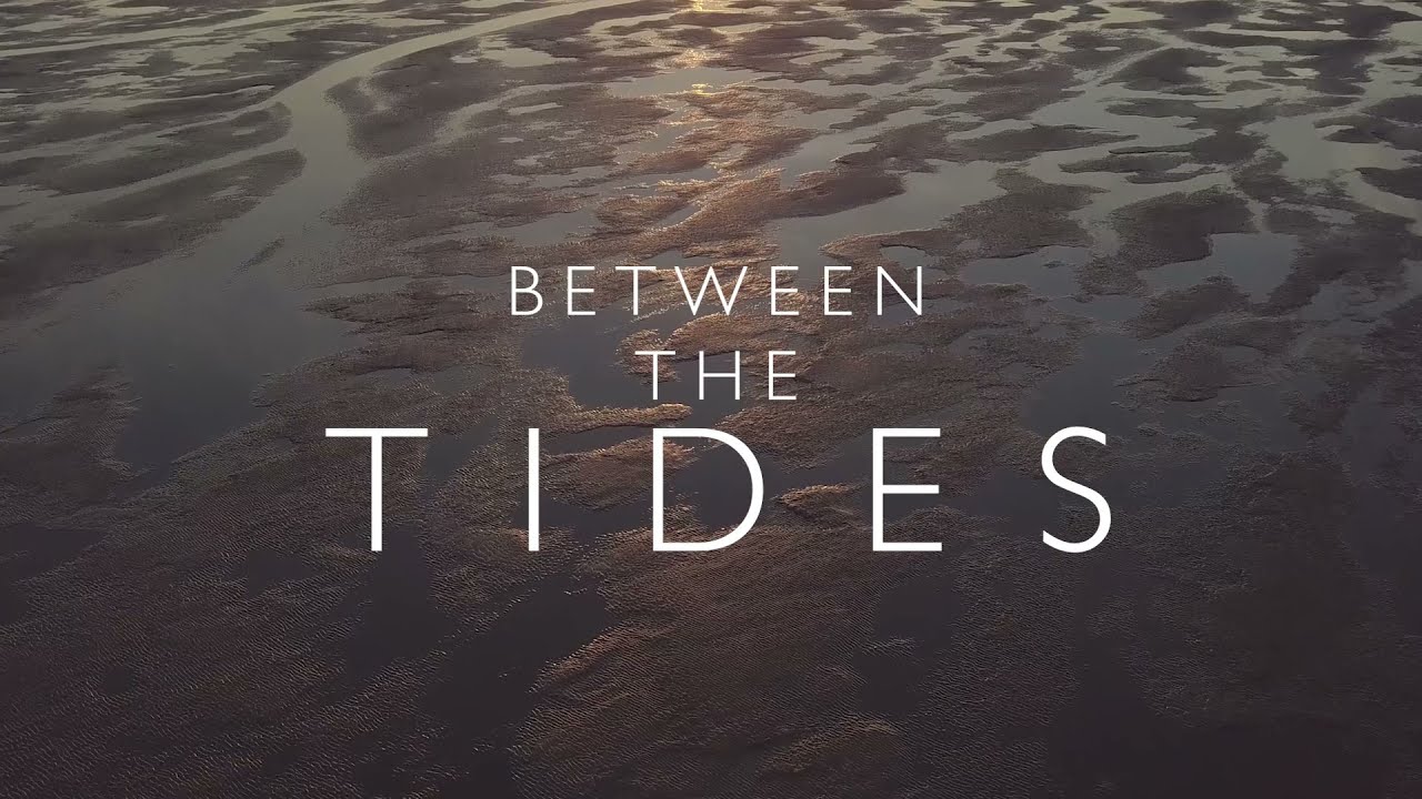 Between the Tides - RSPB Snettisham Spectacular