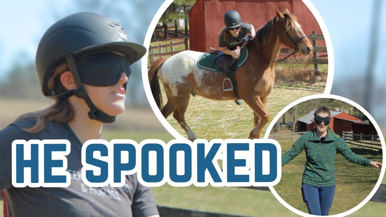 Riding A Horse BLINDFOLDED