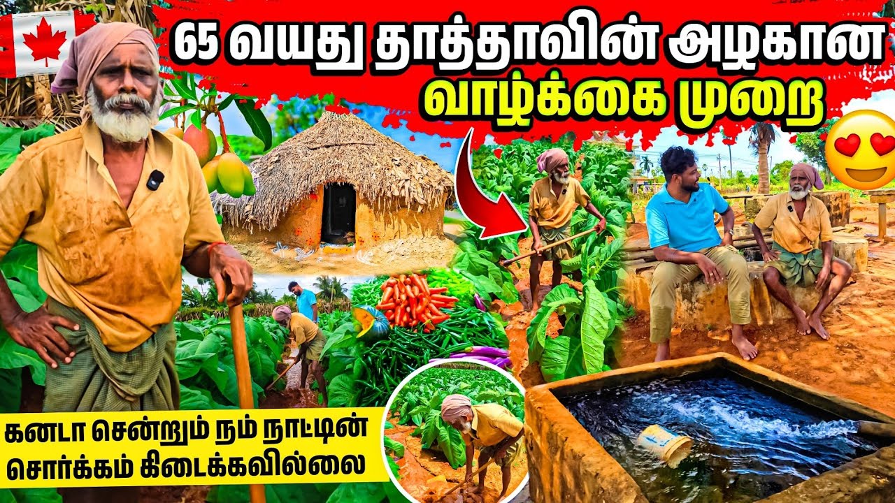 யாழ் ஐயாவின் அற்புதமான வாழ்கை முறை | கனடா வாழ்க்கையை தவிர்த்தேன்!  | Rj Tamizha 