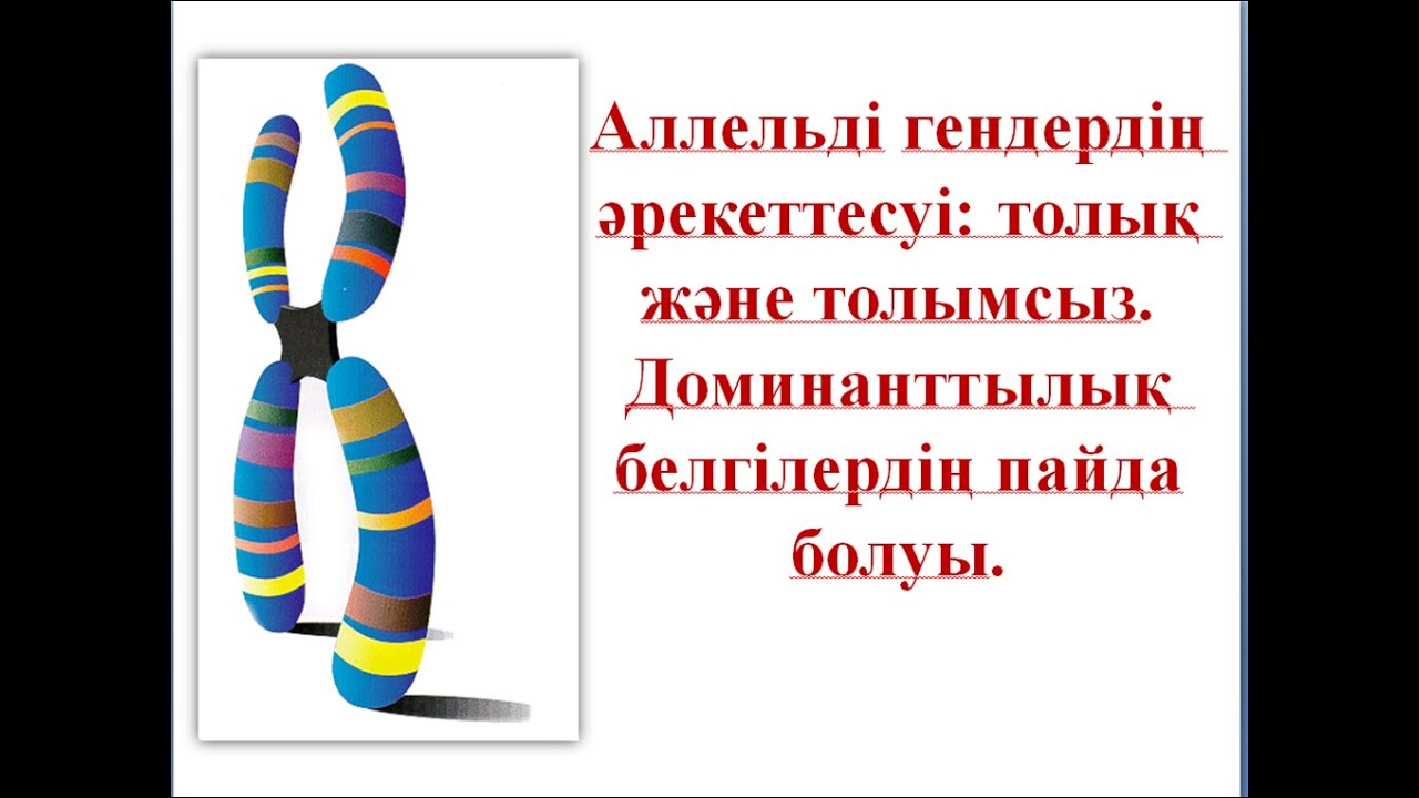 Аллельді гендердің әрекеттесуі: толық және толымсыз. Доминанттылық белгілердің пайда болуы.