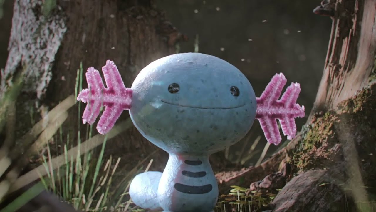 The Evolutions of Regional Forms - Wooper | Pok&eacute;National | Pok&eacute;mon Documentary