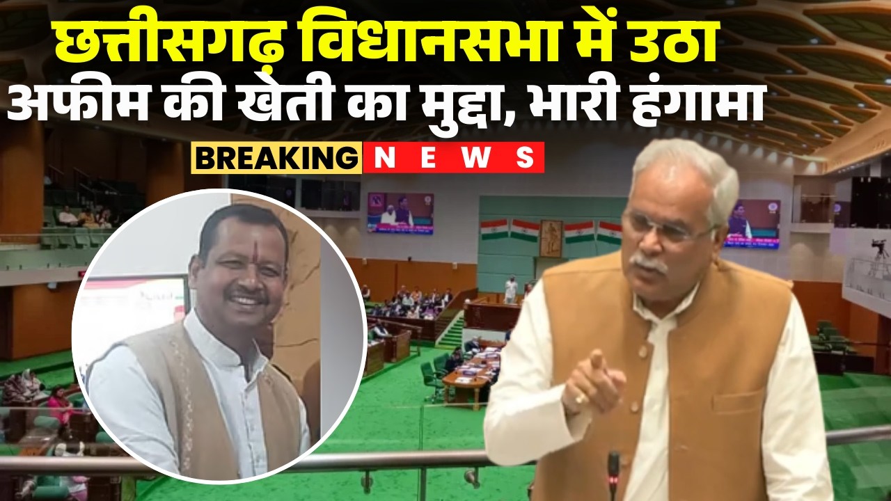 Chhattisgarh Vidhan Sabha में उठा अफीम की खेती का मुद्दा, भारी हंगामा | Vinayak Tamrakar Durg | CG