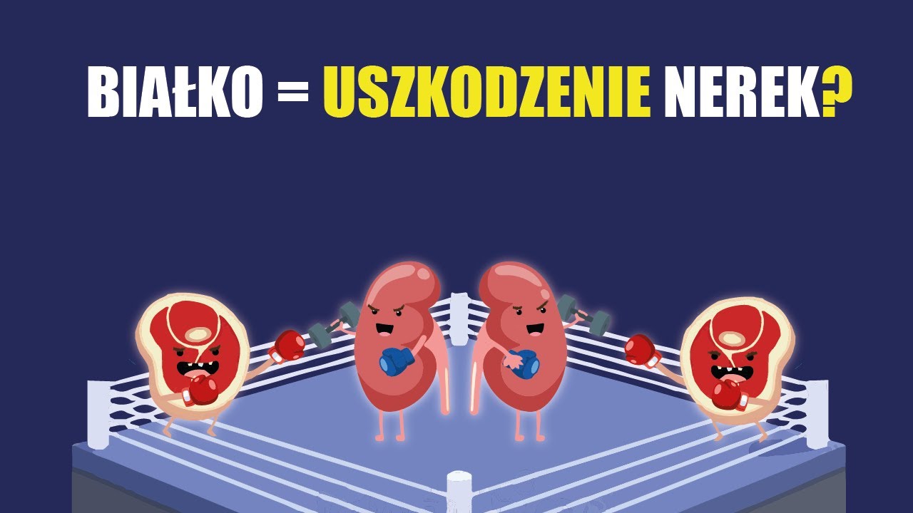 Diety KETO niszczą NERKI, a wysokobiałkowe jeszcze bardziej? Mit czy zagrożenie.