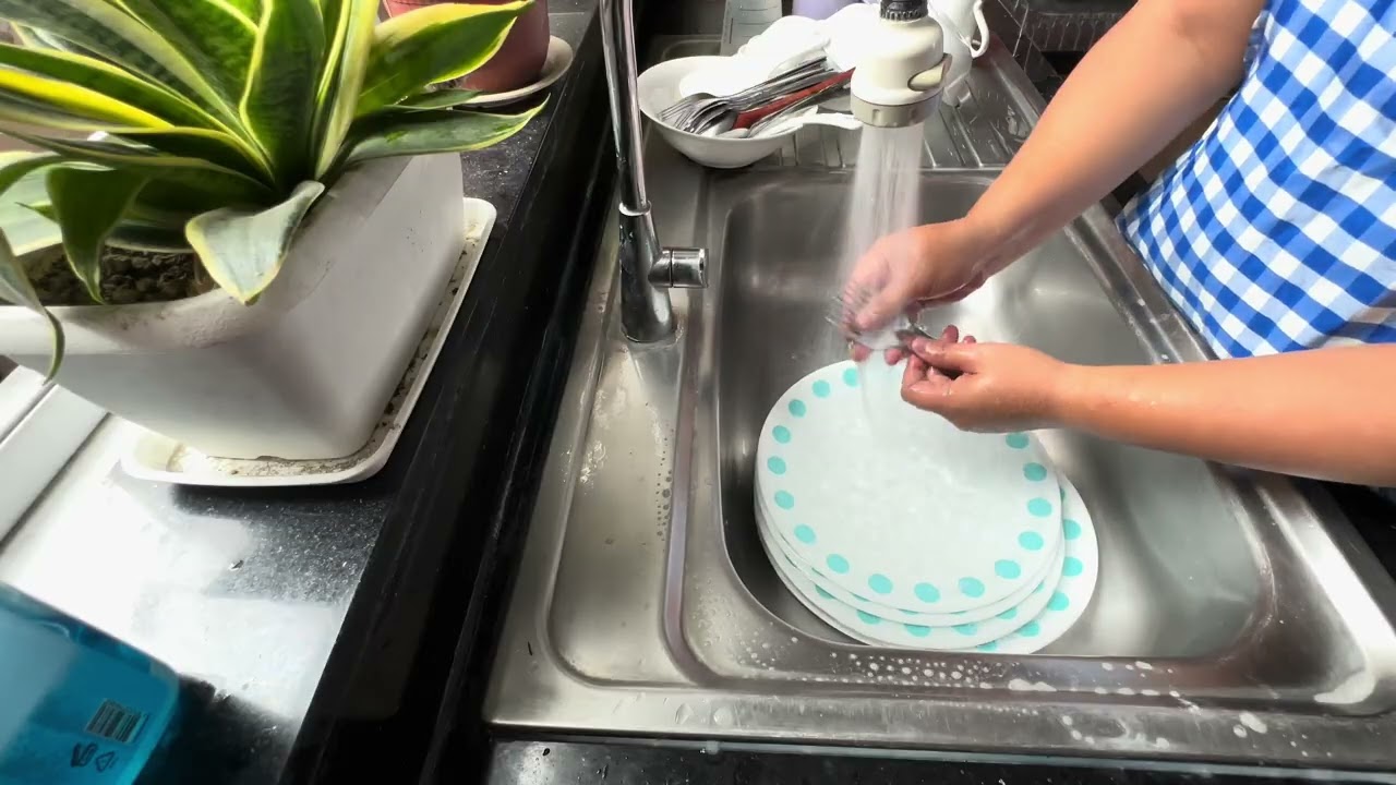 🍽️🫧 Dishwashing after meal ep. 8