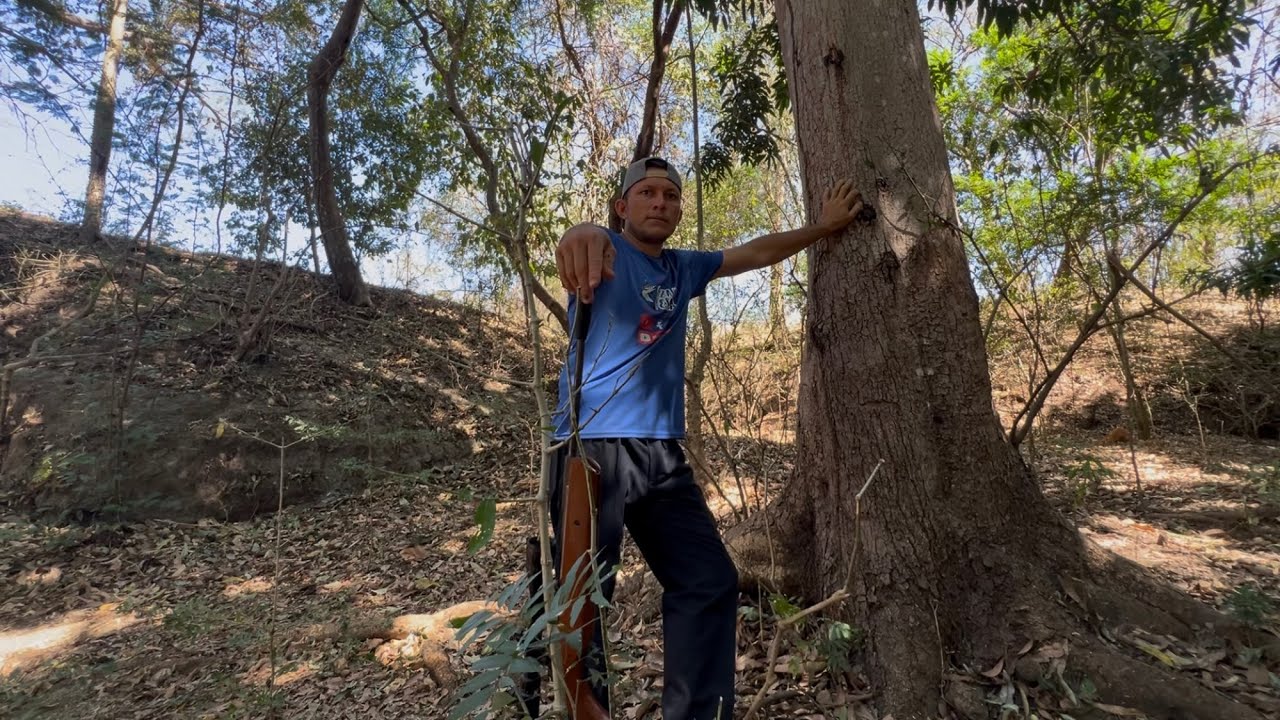Buscando un coludo que tenemos en bonga 