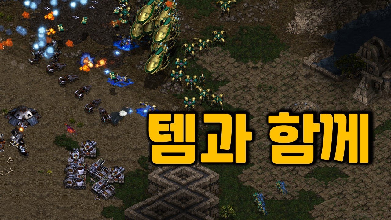 캐리어 vs 벙덥 3탱 찌르고 노양심 3컴 업테란