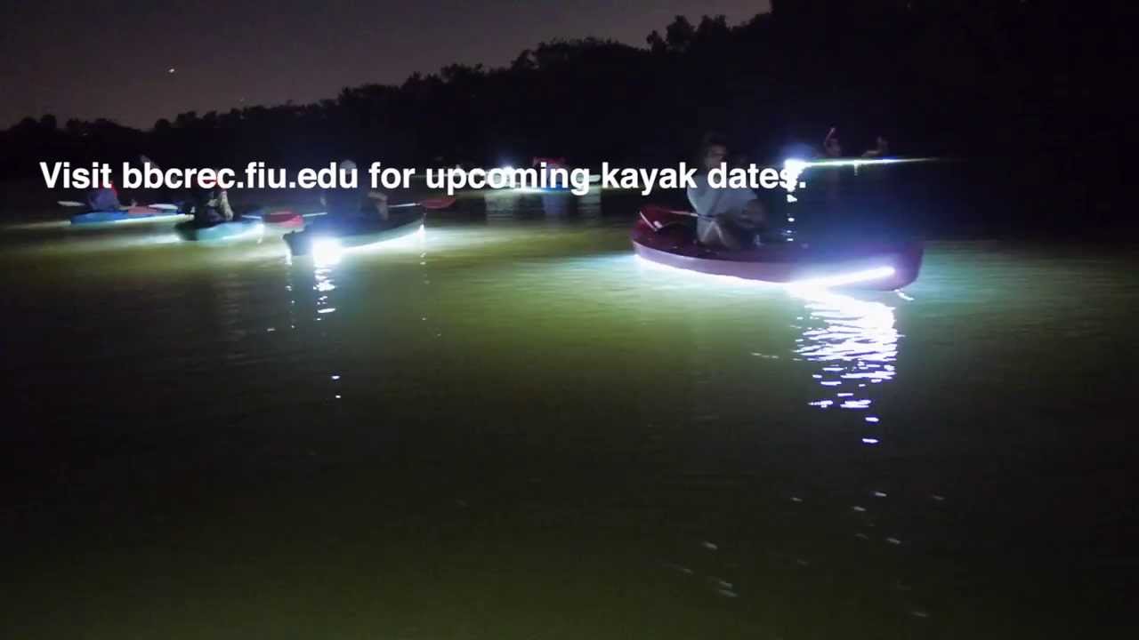 Night Kayaking at BBC