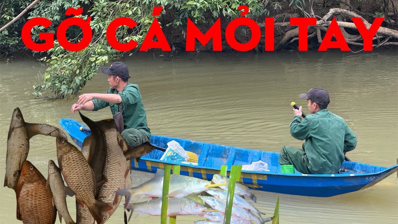 THẢ LƯỚI BÊN SÔNG VÀ MÀN GỠ CÁ MỎI TAY-TỰ THỢ RỪNG 