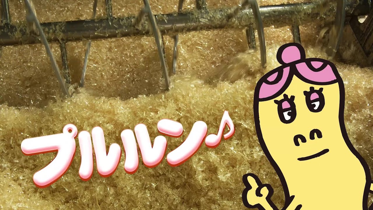 【４Ｋ映像】姫路のおしごと（にかわ・ゼラチン編）