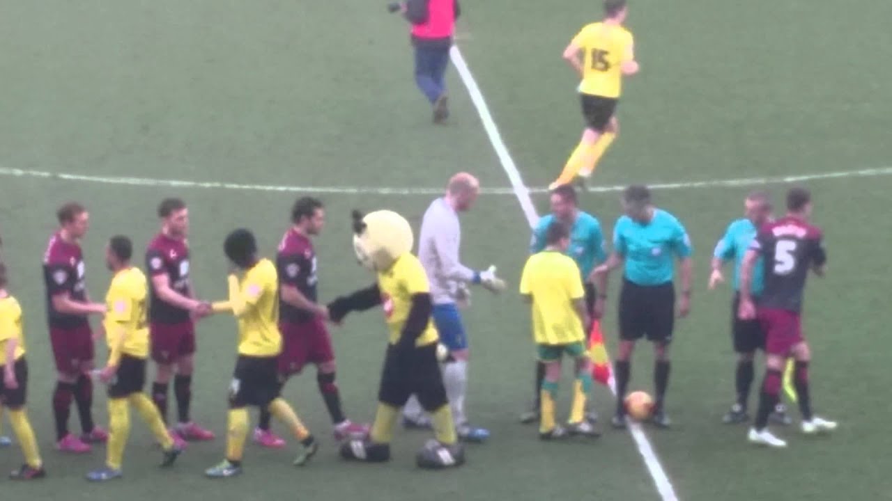 Harry Hornet on form!