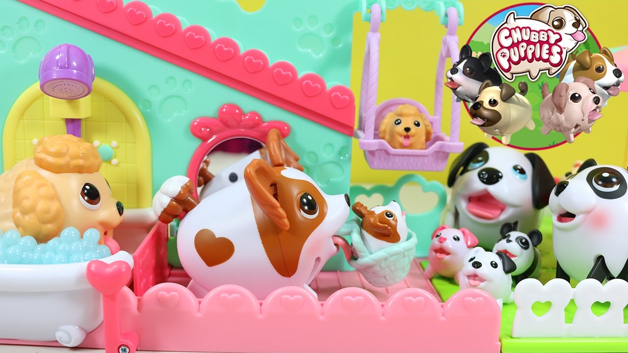 Chubby Puppies & Friends Pet Fun Center Adventure with eight adorable babies!
