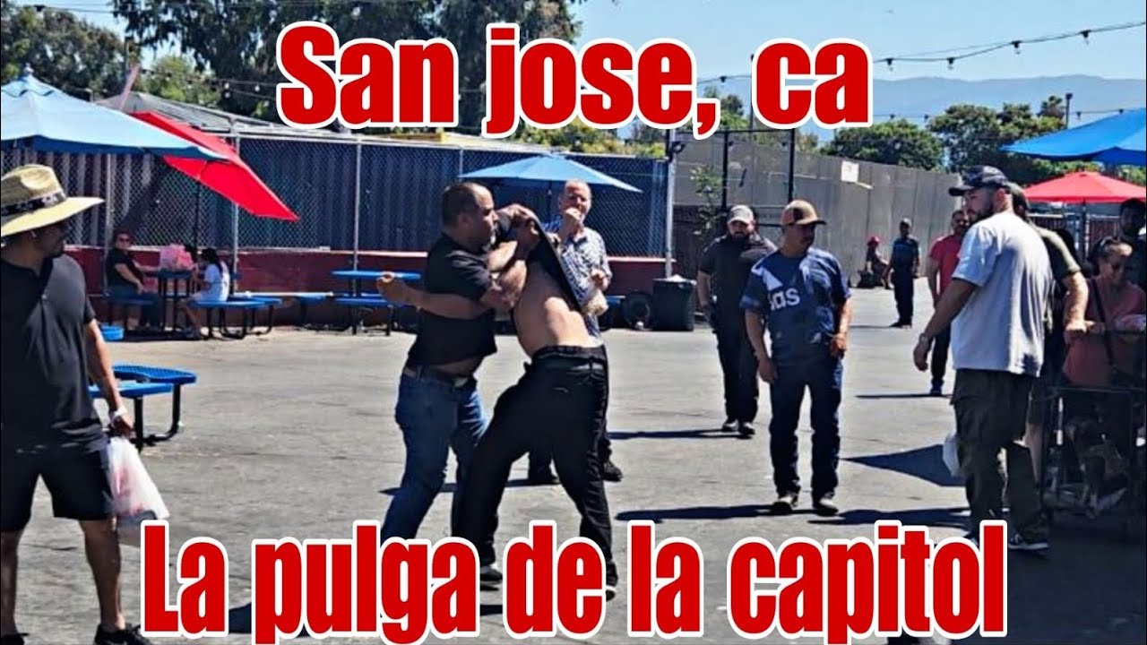 Domingo en la pulga de san jose ca