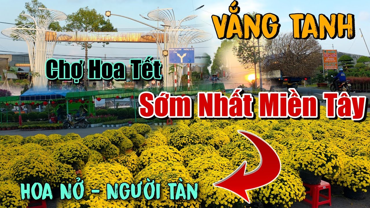 MIỀN TÂY ĐỒNG LOẠT 