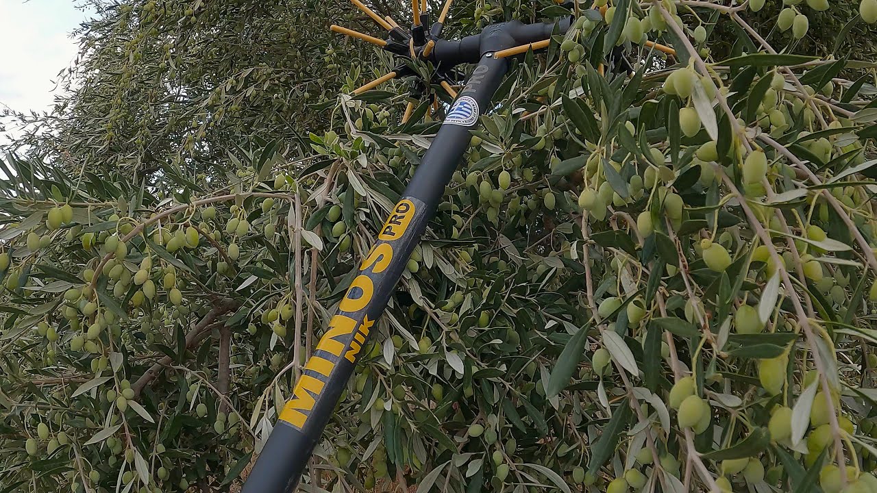 MinosNik ''GOLD PRO 4x4'' BRUSHLESS