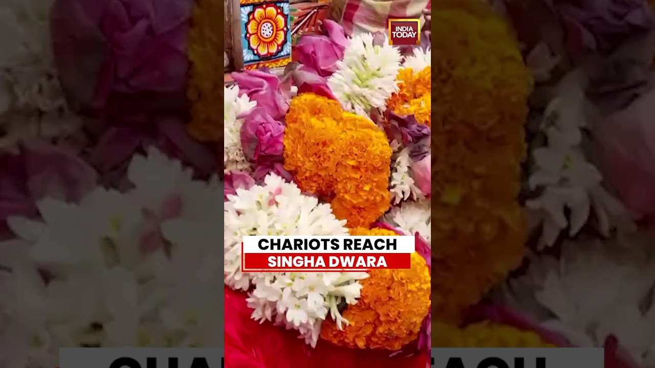 Puri Rath Yatra 2026: Three Chariots Reach Singha Dwara Ahead Of Grand Festival #puri #odisha