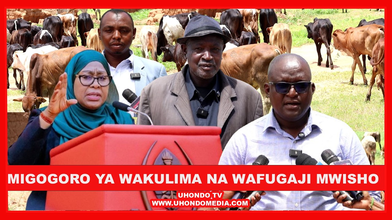 SERIKALI YA RAIS SAMIA; IDN KUTATUA MIGOGORO YA WAKULIMA NA WAFUGAJI/ WAFUGAJI WAELEZA CHANZO