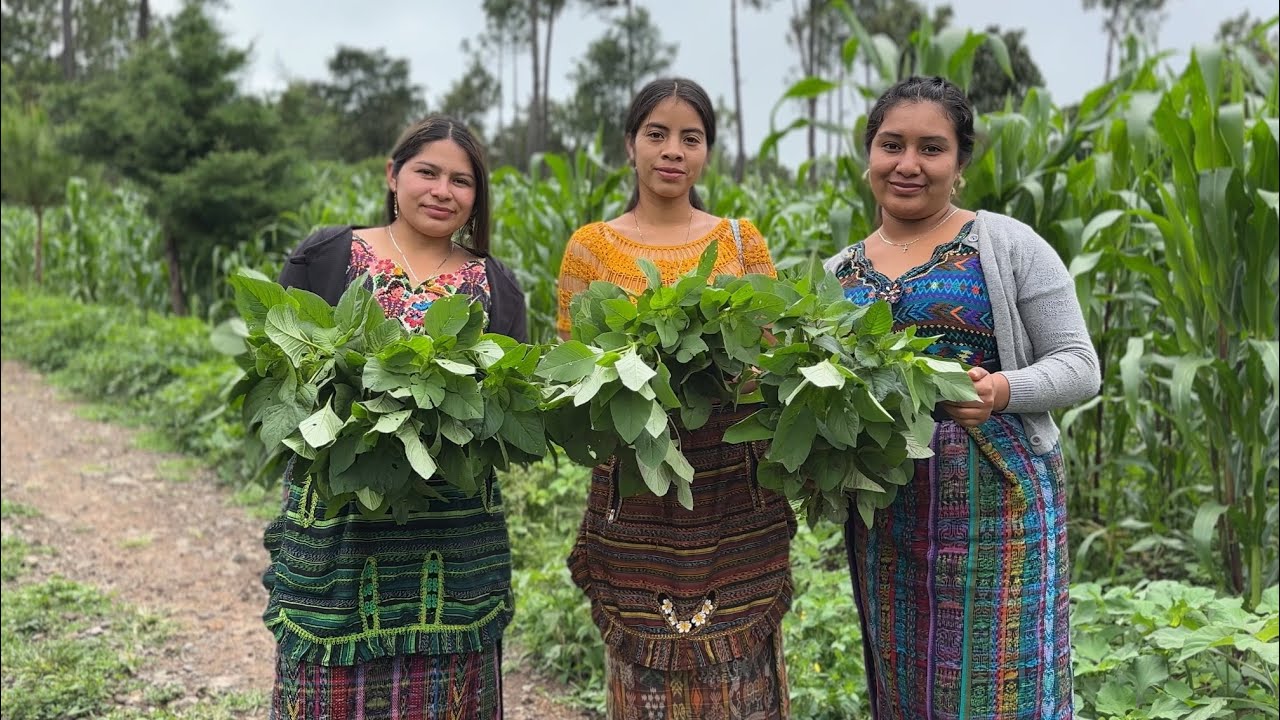 Fuímos A CORTAR Hierba, Qué Bonita Es La Vida Del CAMPO