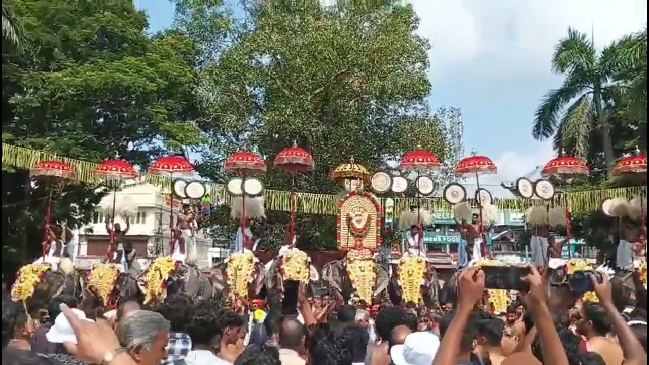 Thrissur pooram 2025 @Aanapremi307
