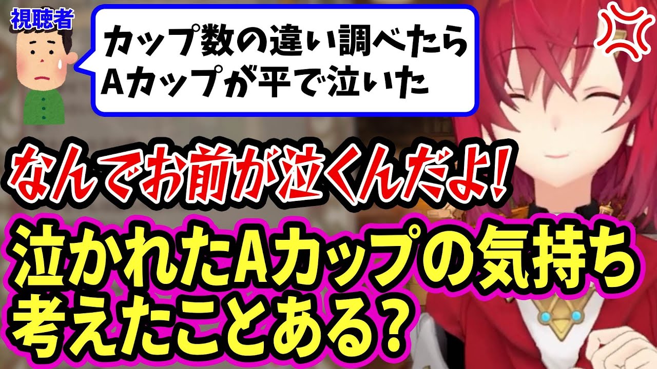 ストレートに失礼過ぎるリスナーを許せないAAカップのアンジュｗ【にじさんじ切り抜き/アンジュ・カトリーナ】