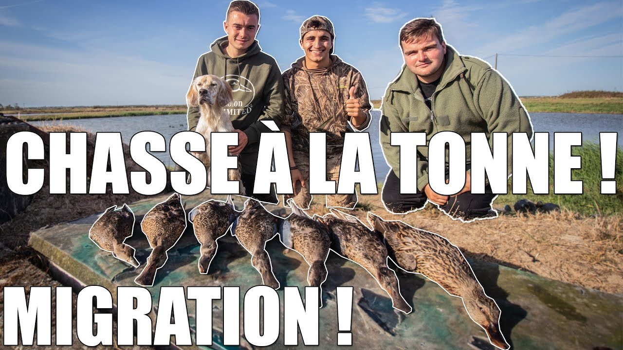 Chasse à la Tonne - Migration de Septembre ! - Test Pulsar Axion - Marius Chasse