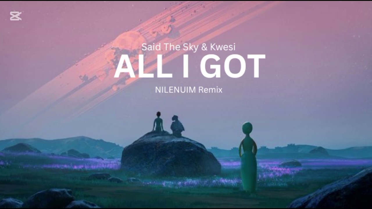 Said The Sky & Kwesi - All I Got (NILENUIM Remix) 