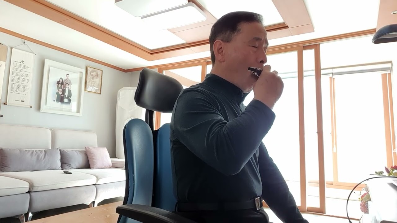 잃어버린 30년/ 하모니카 c키(@밤부엉이-q5e )