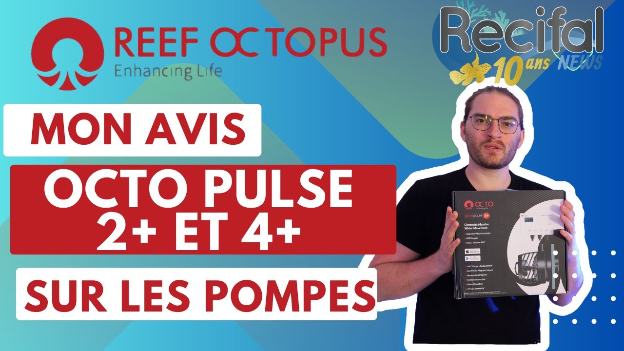 Octo Pulse + : Elles brassent en silence !