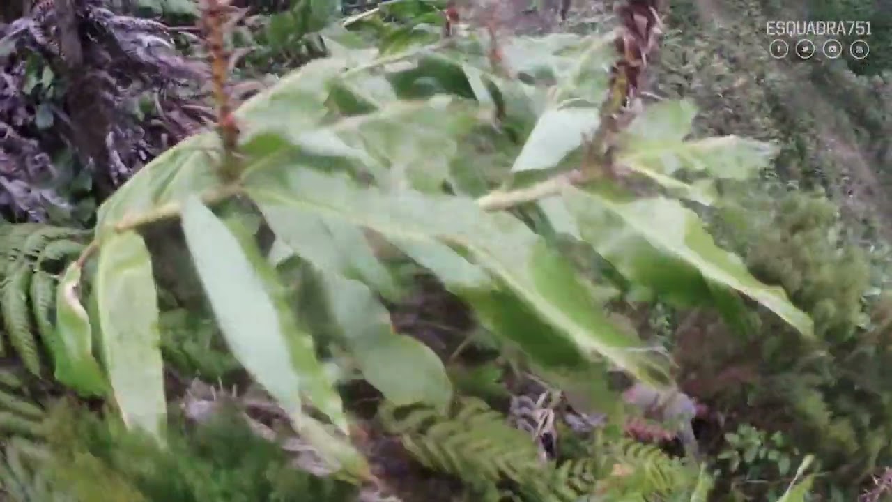 Resgate de uma vítima de queda na zona da Cascata das Lombadas