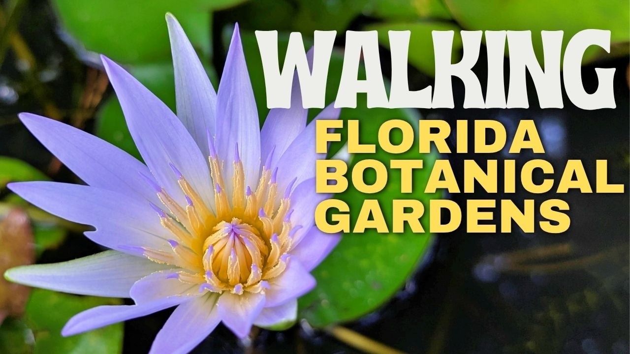FLORIDA BOTANICAL GARDENS | no-talking, walking tour | Largo, FL