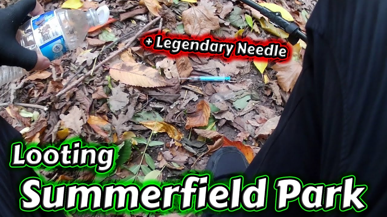 Summerfield Park Tiny Woods | Birmingham | Part 1
